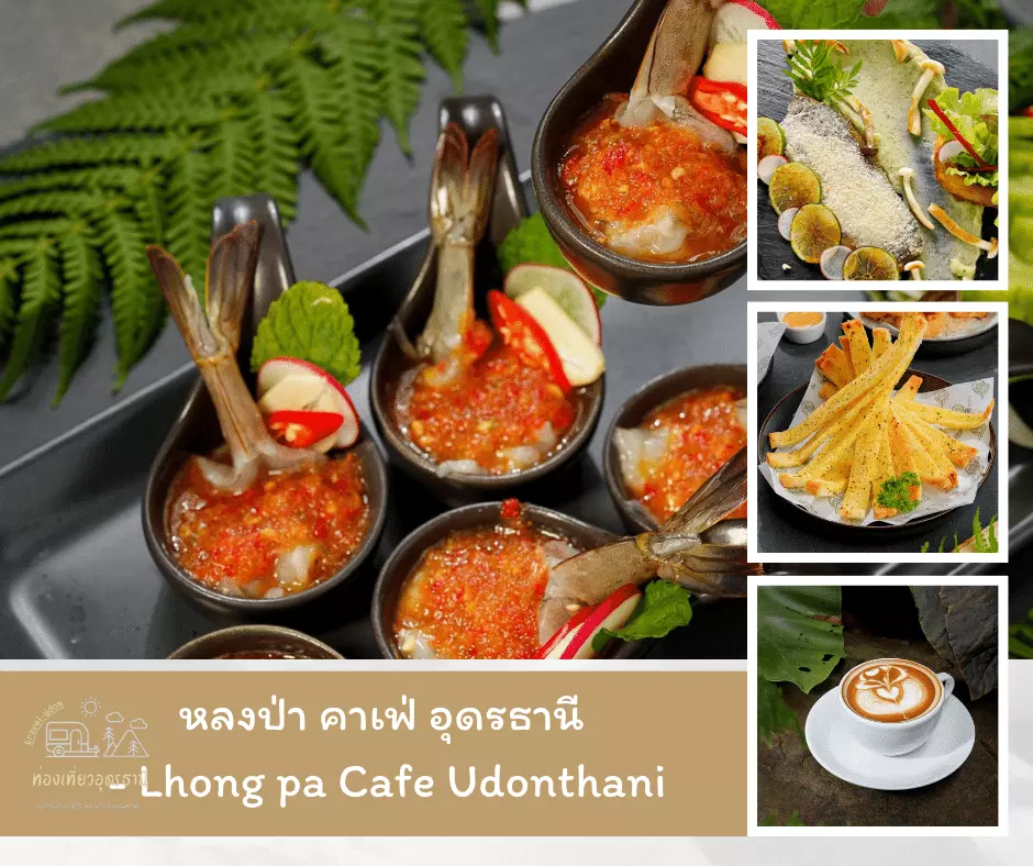 หลงป่า คาเฟ่ อุดรธานี - Lhong pa Cafe Udonthani